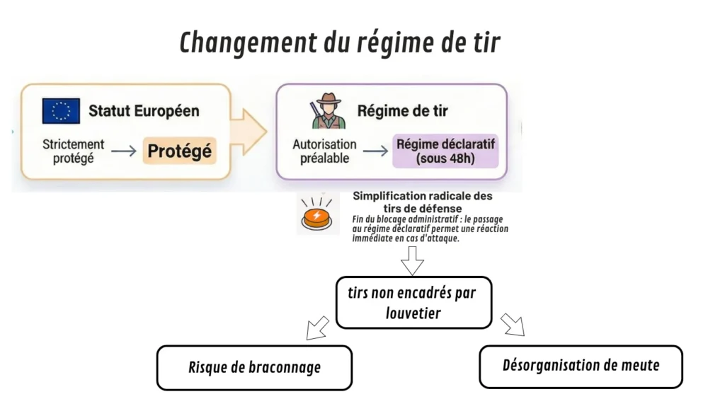infografie changement de régime de tire passe d'autorisation préalable à déclaratif postériori.
