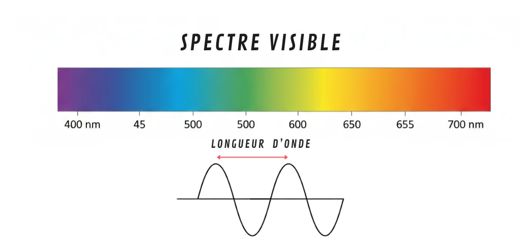 image du spectre visible du vilet au rouge avec les longeurs d'onde, et la figure illustant une onde et sa longeur.